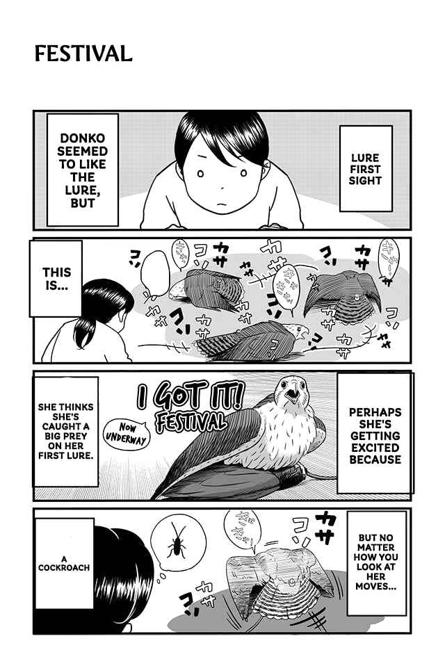 Page 6 Chapter 5 Hawk Master, Its Hunting Time!