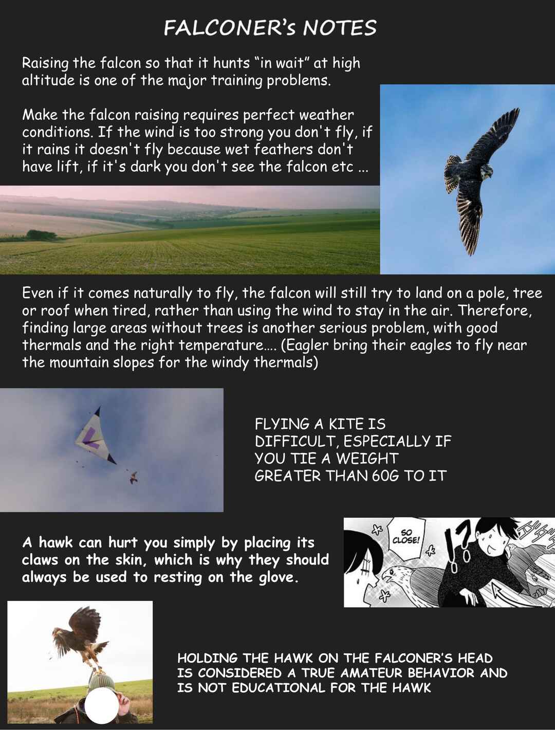 Page 7 Chapter 6 Hawk Master, Its Hunting Time!