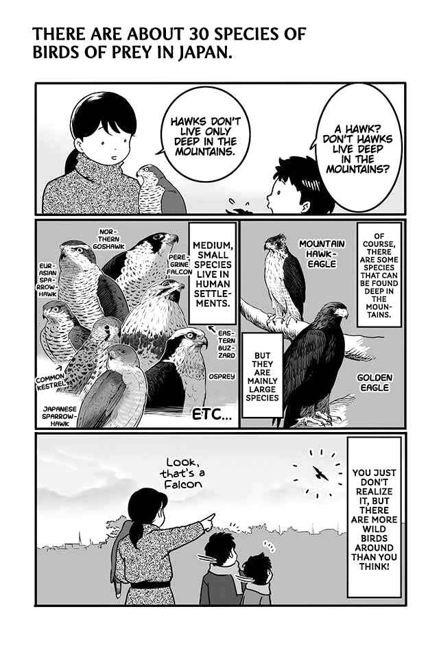 Page 10 Chapter 1 Hawk Master, Its Hunting Time!