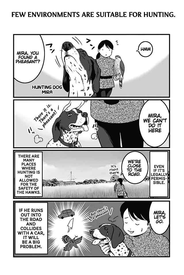 Page 11 Chapter 1 Hawk Master, Its Hunting Time!