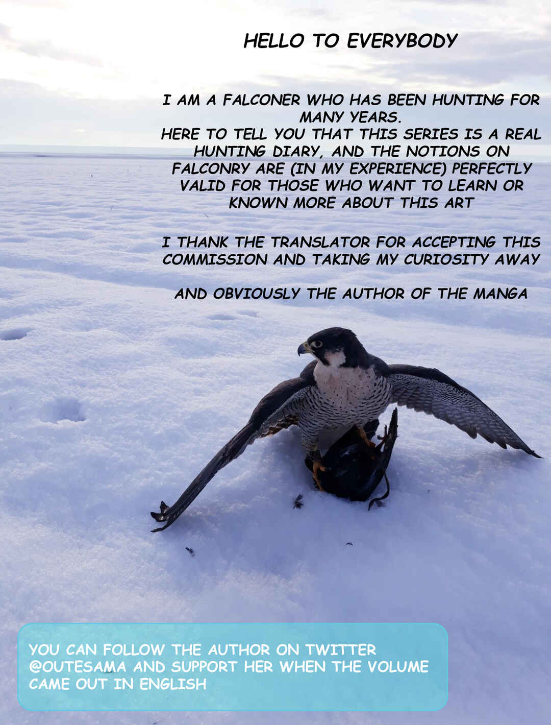 Page 15 Chapter 1 Hawk Master, Its Hunting Time!