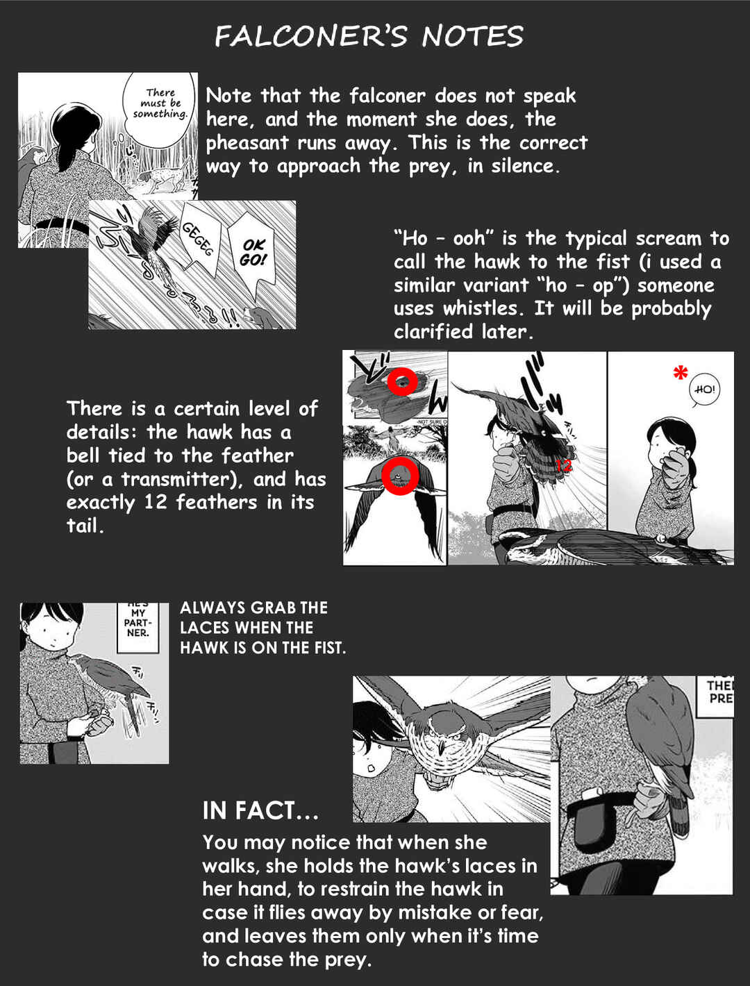 Page 16 Chapter 1 Hawk Master, Its Hunting Time!