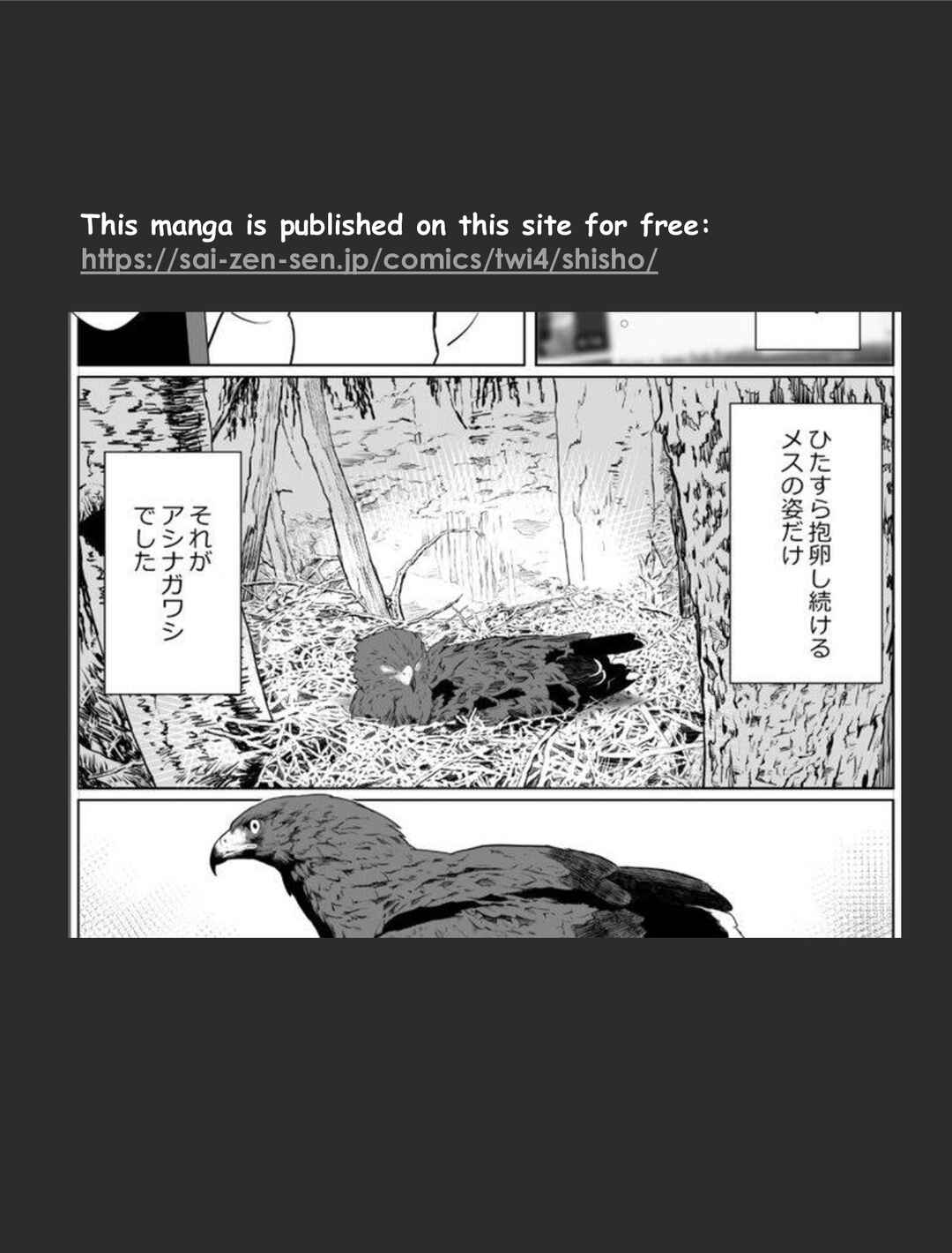 Page 19 Chapter 1 Hawk Master, Its Hunting Time!