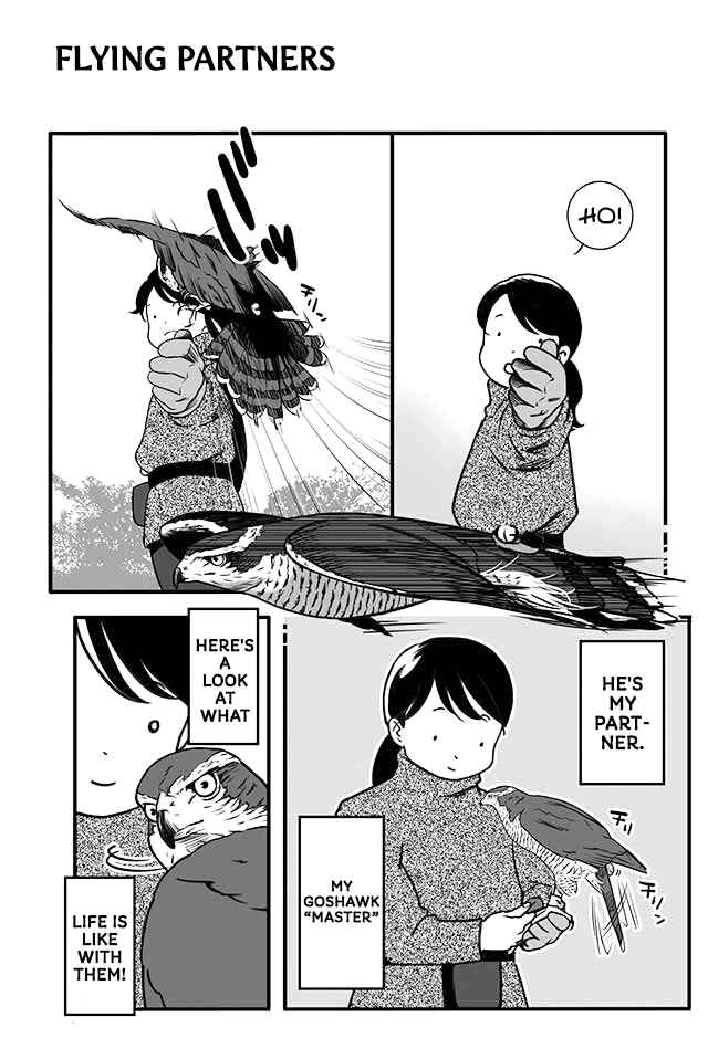 Page 3 Chapter 1 Hawk Master, Its Hunting Time!