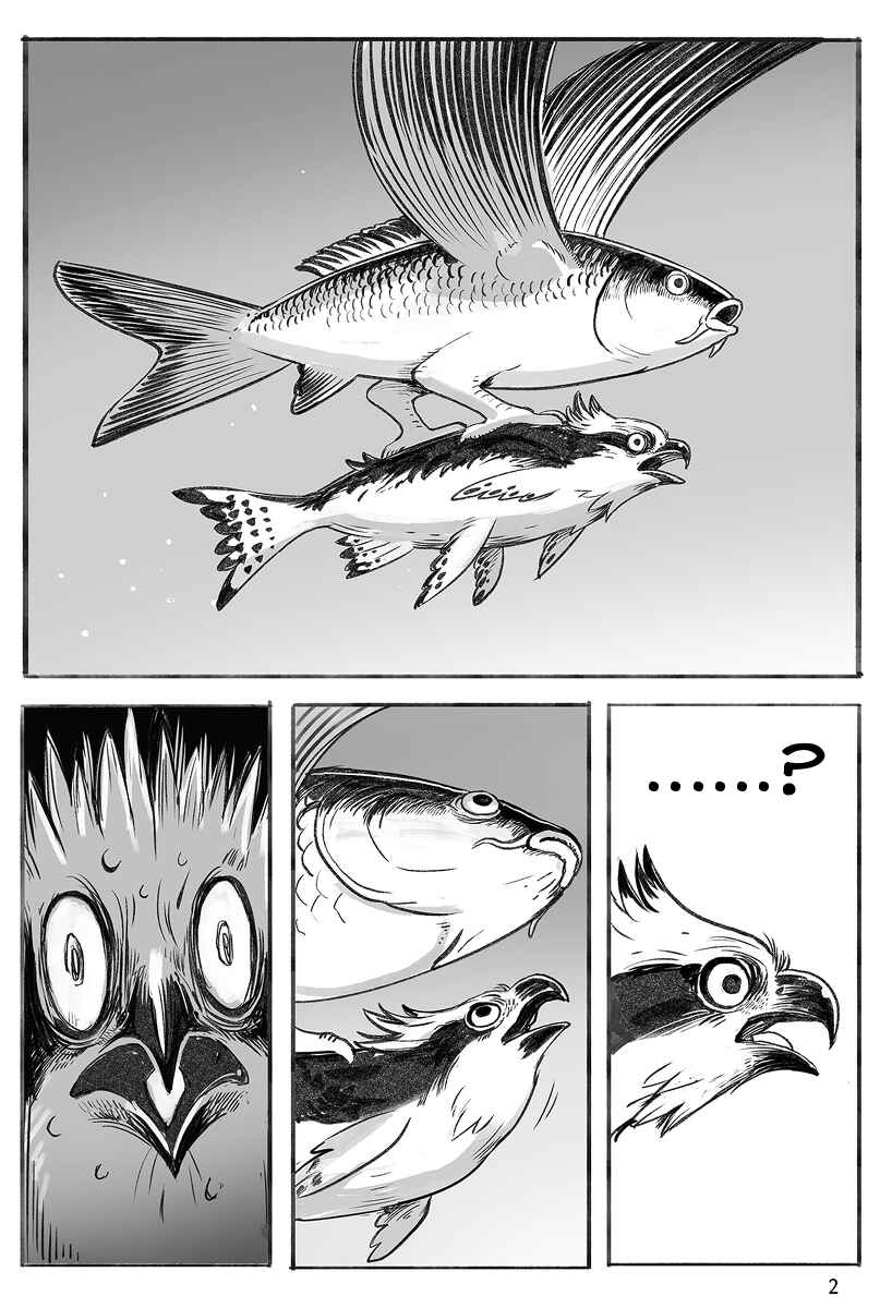 Page 2 Chapter Unknown_2b72 Carp
