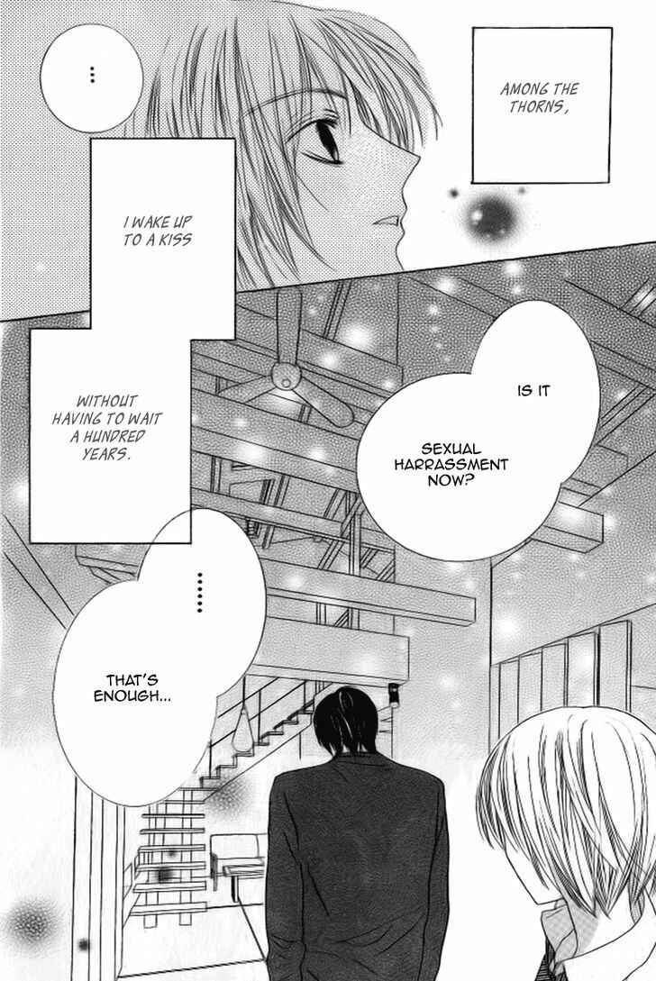 Page 31 Chapter 11 Beauty Honey