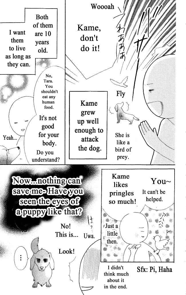 Page 36 Chapter 18 Beauty Honey