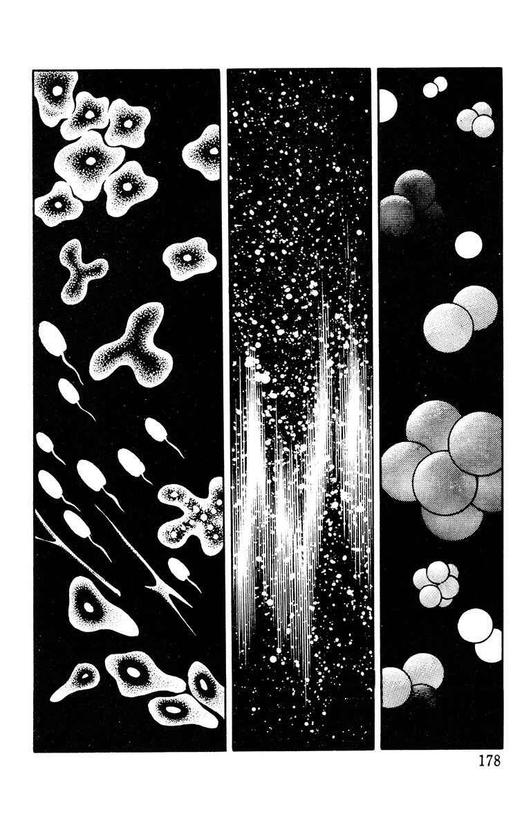 Page 13 Chapter 11 The Living Corpse