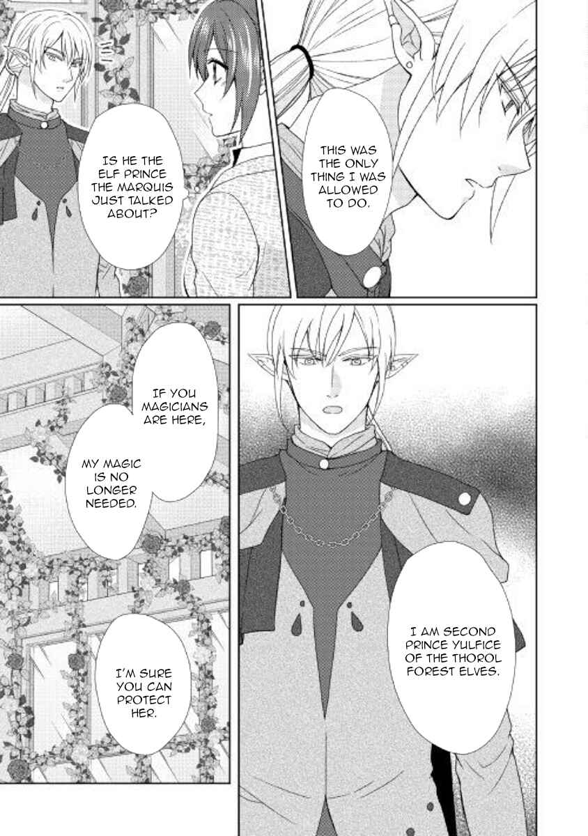 Page 3 Chapter 34 From Maid to Mother