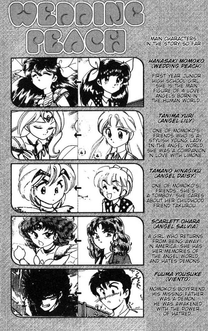 Page 4 Chapter 24 Wedding Peach