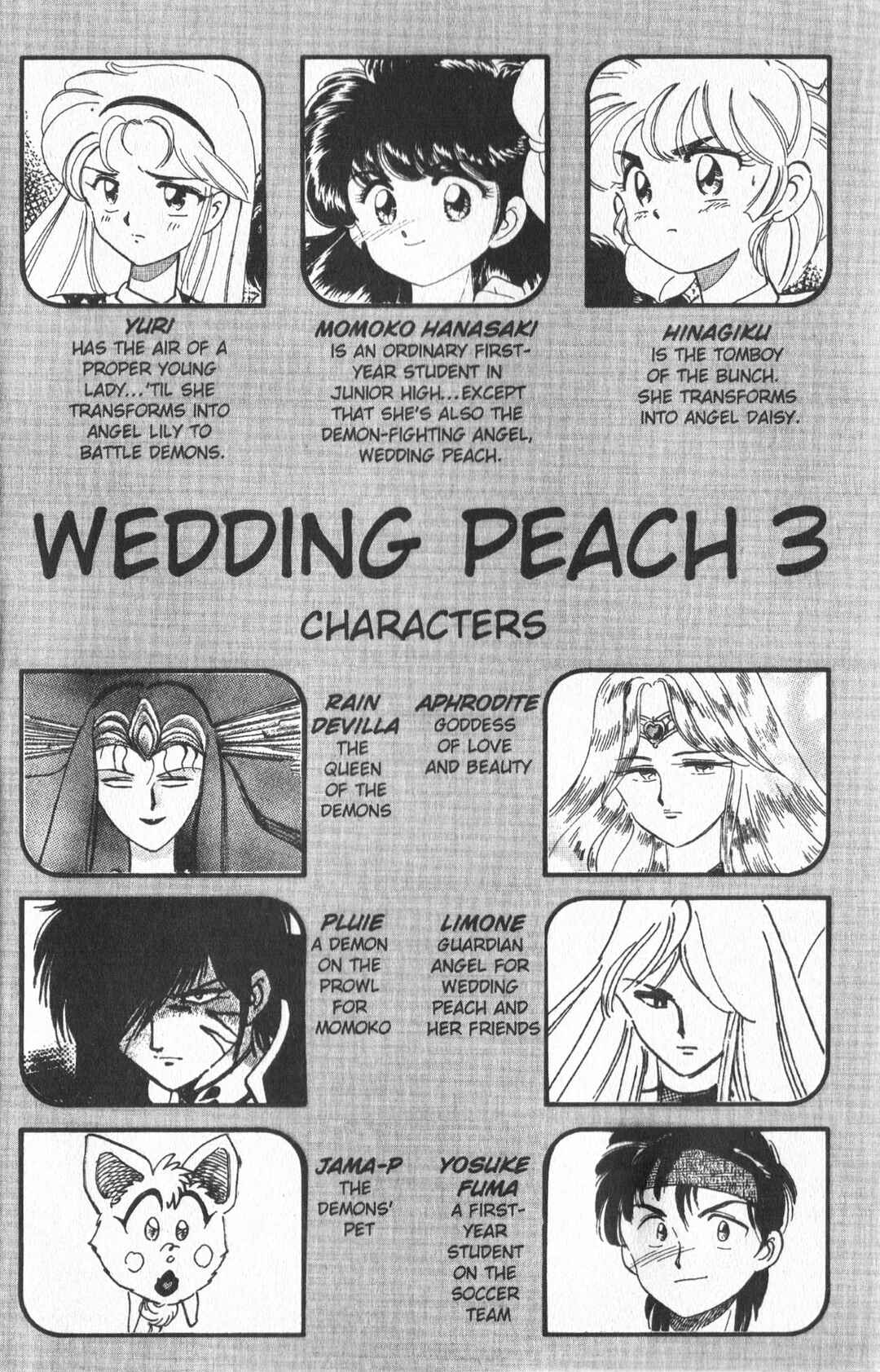 Page 7 Chapter 11 Wedding Peach