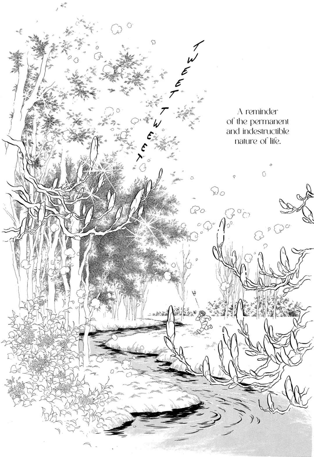 Page 10 Chapter 36 SWAN