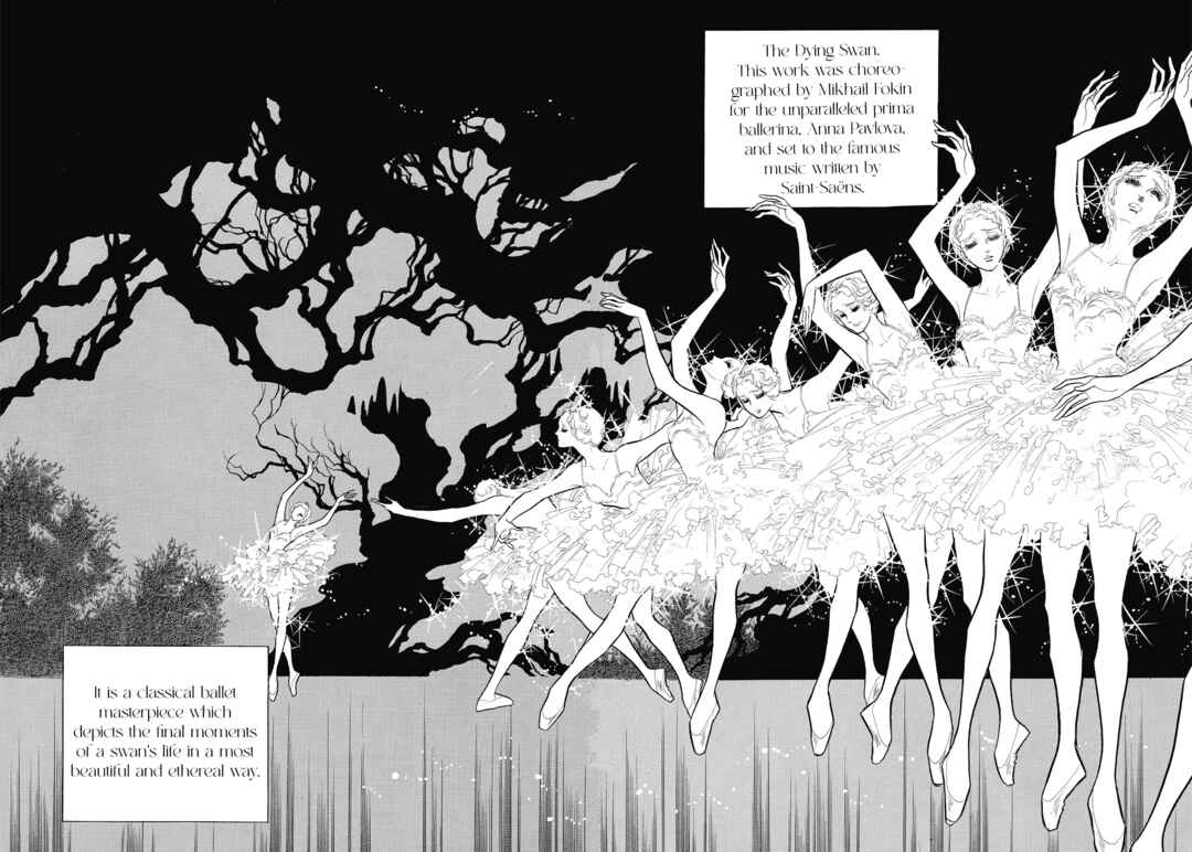 Page 5 Chapter 41 SWAN