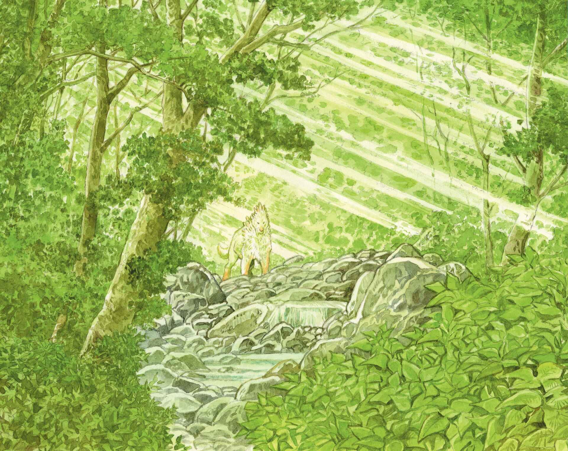 Page 8 Chapter Unknown_d1e0 The Millennium Forest