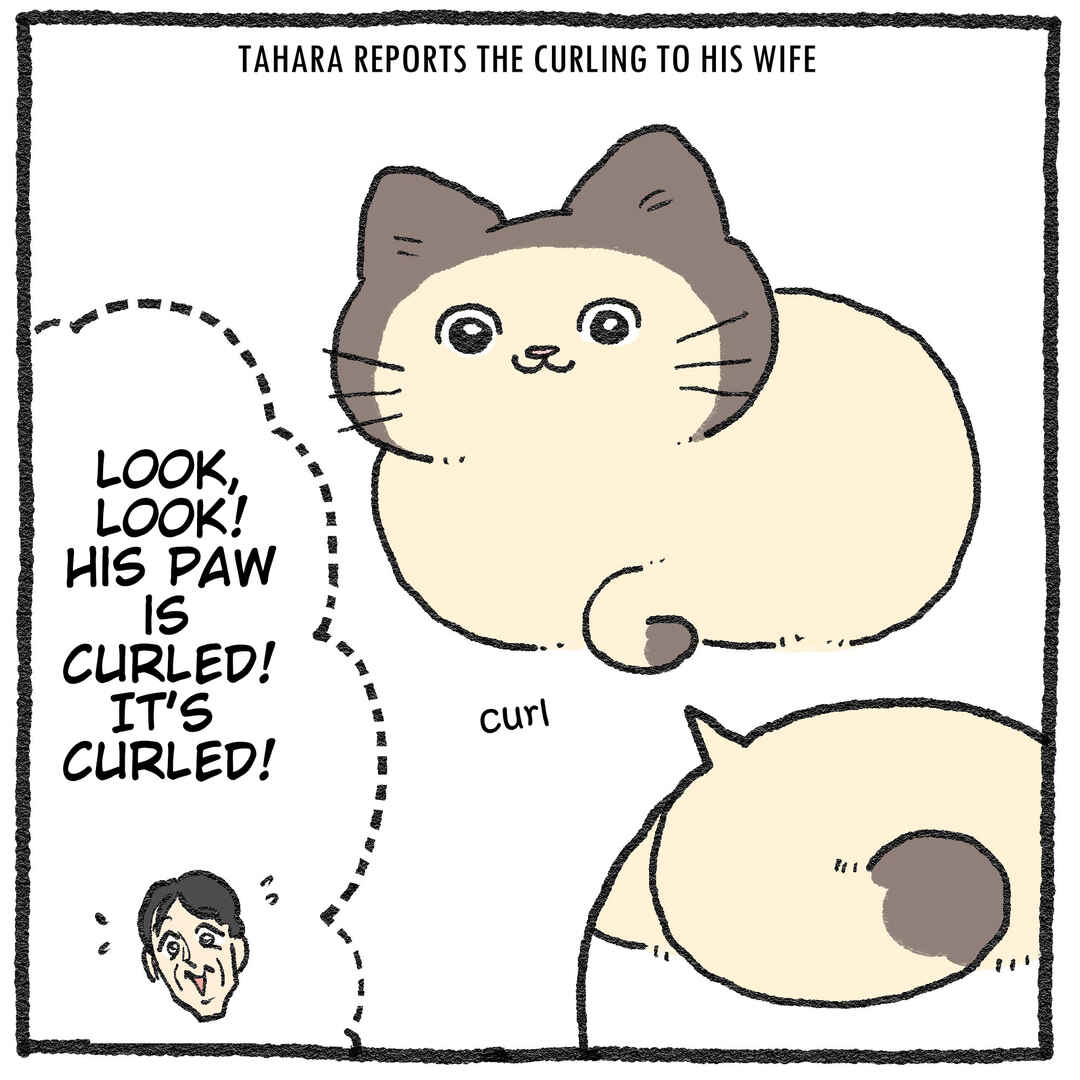 Page 4 Chapter 578.6 Neko Oji: Salaryman reincarnated as a kitten!