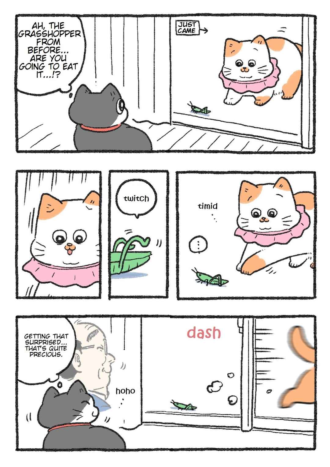 Page 1 Chapter 146 Neko Oji: Salaryman reincarnated as a kitten!