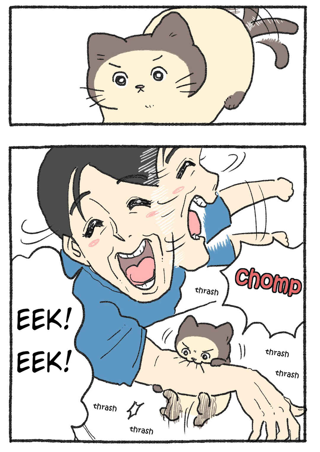 Page 2 Chapter 565 Neko Oji: Salaryman reincarnated as a kitten!