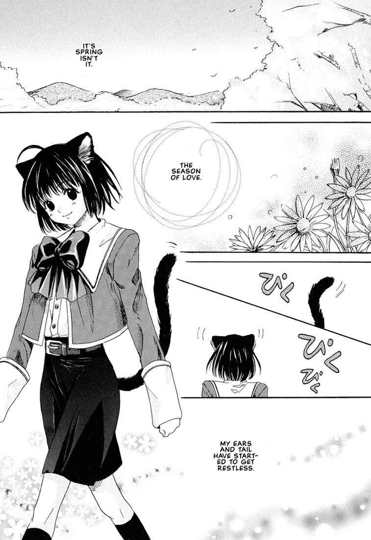 Page 4 Chapter 4 Stop! Goshujin-sama