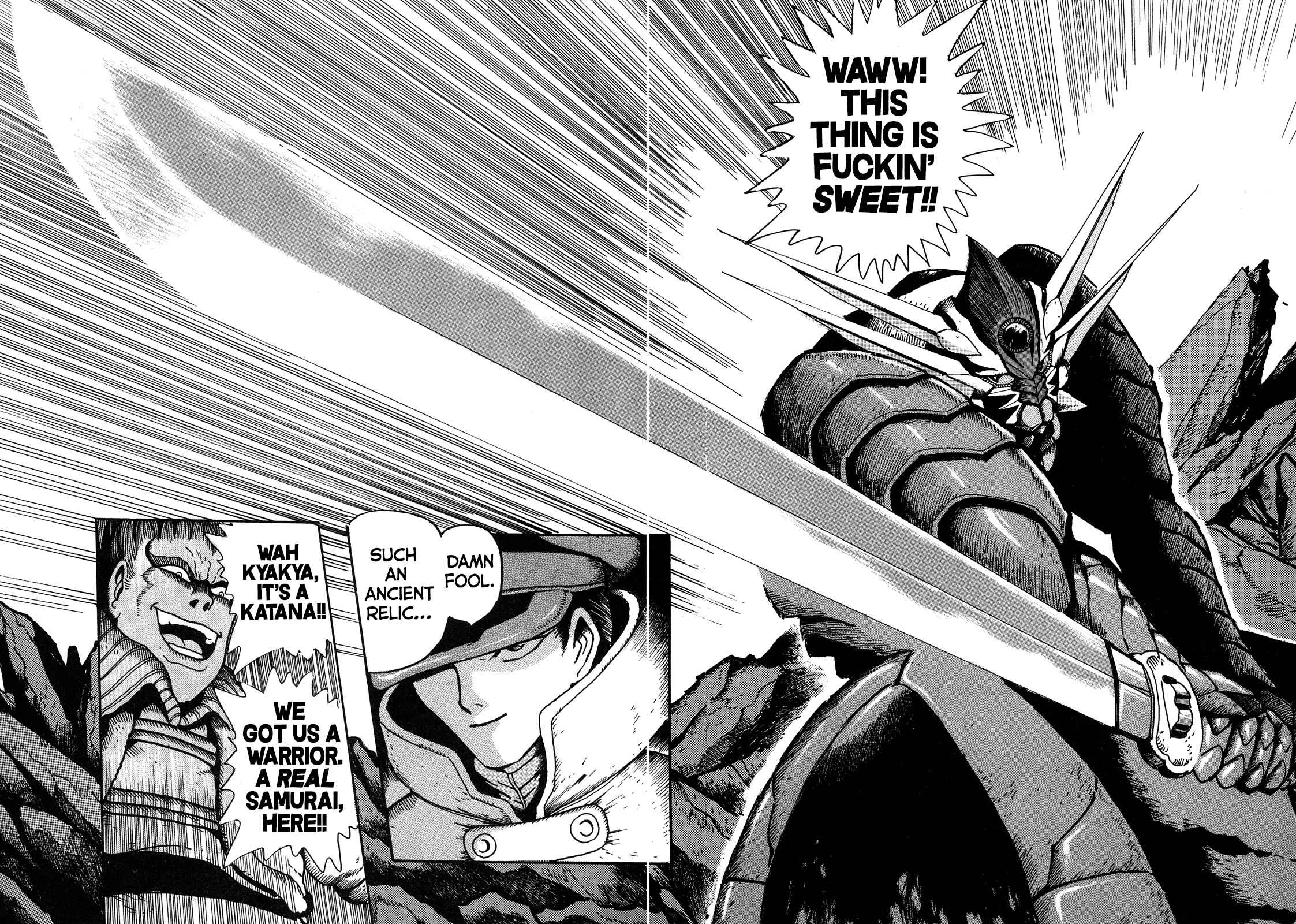 Page 29 Chapter 7 The Seiten Wars Flieder Bug