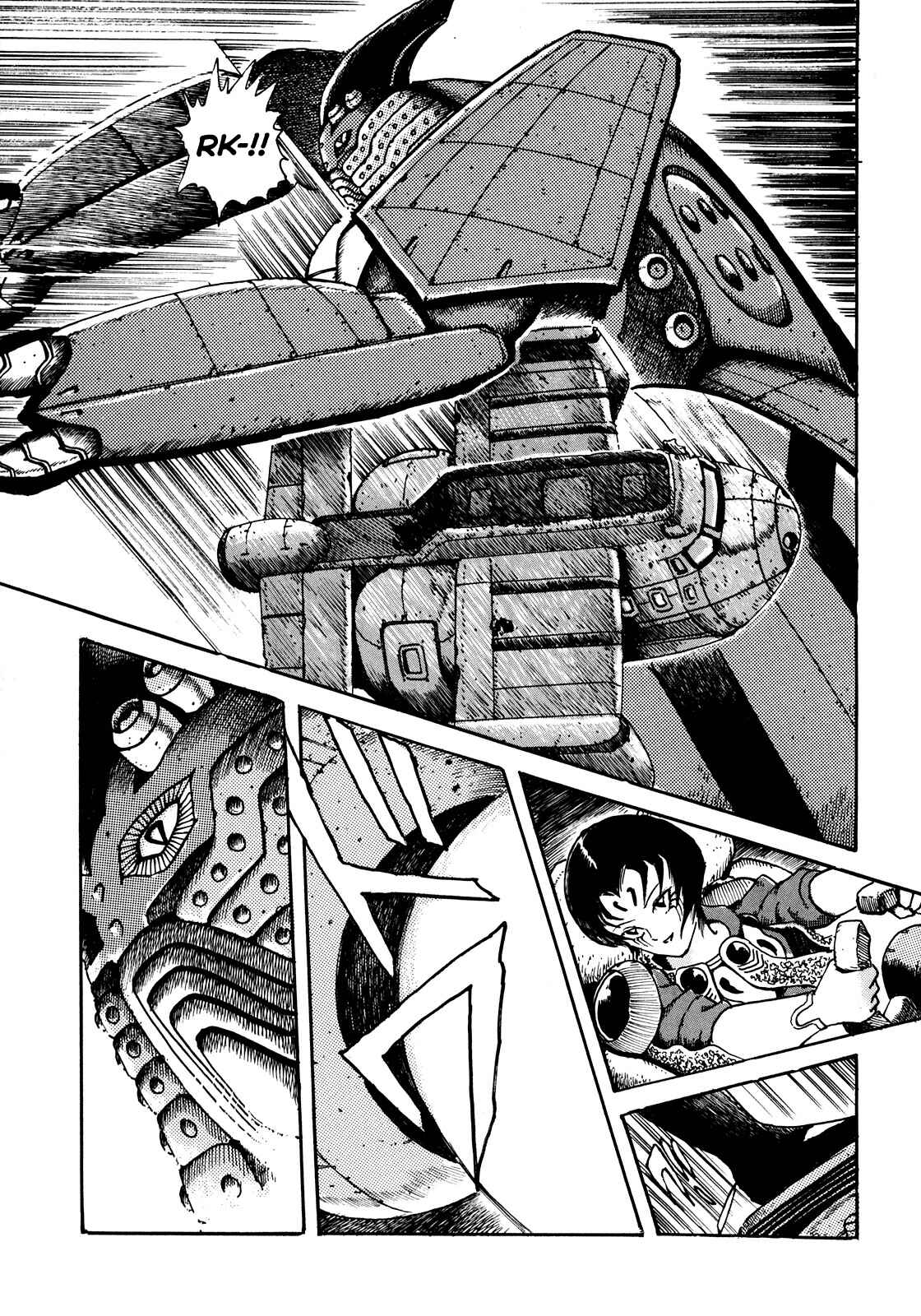 Page 5 Chapter 2 The Seiten Wars Flieder Bug