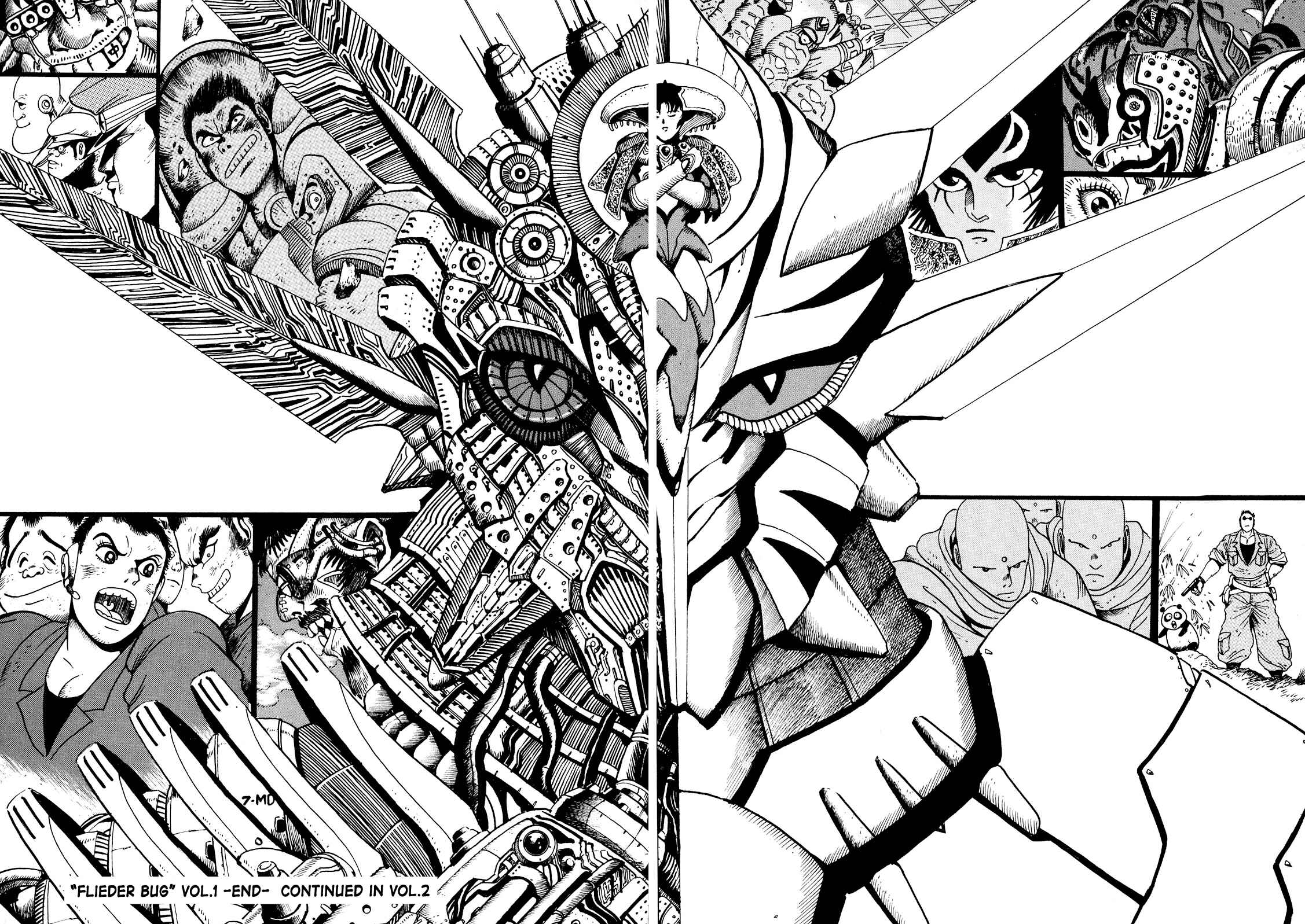 Page 31 Chapter 5 The Seiten Wars Flieder Bug