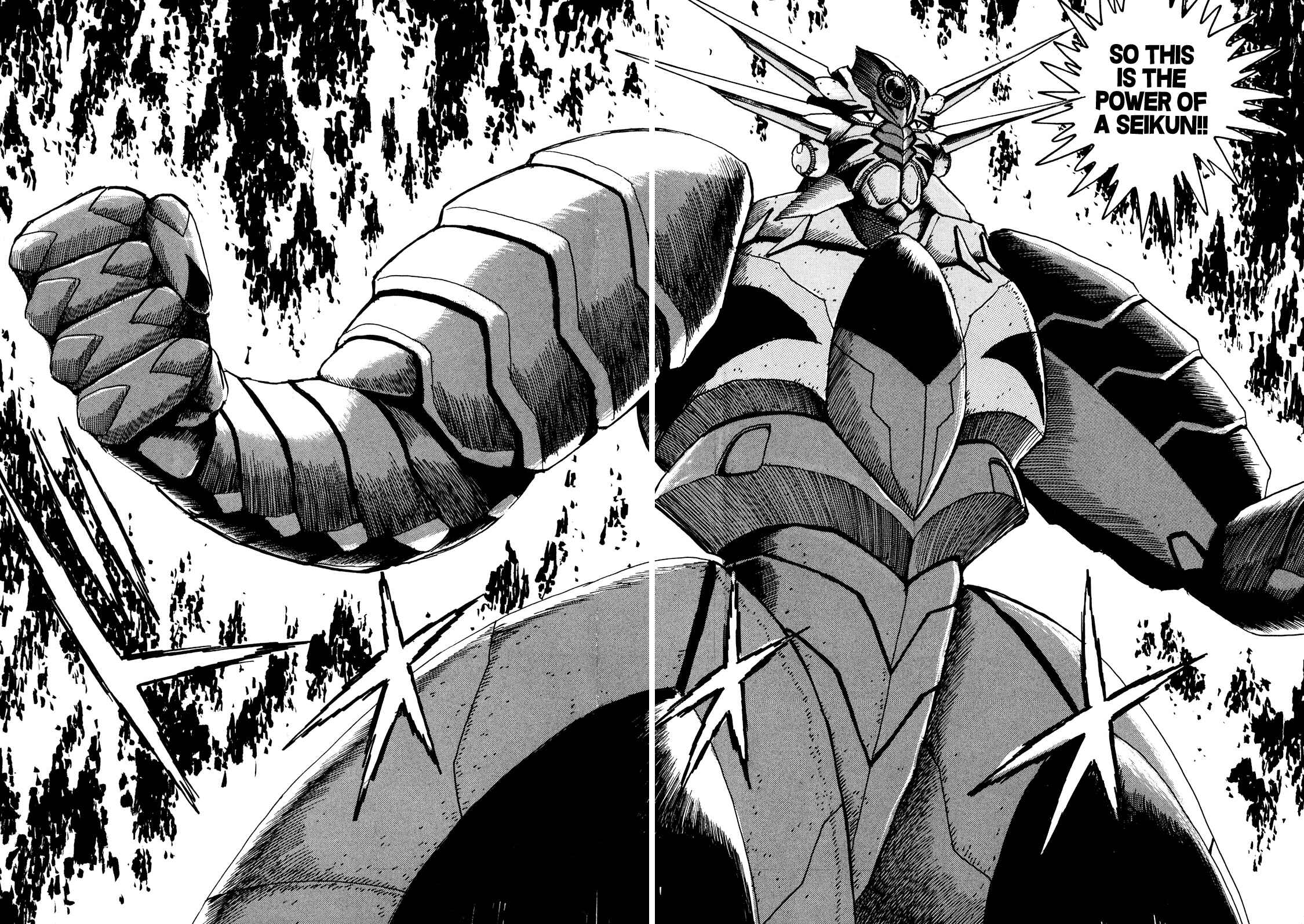 Page 5 Chapter 9 The Seiten Wars Flieder Bug