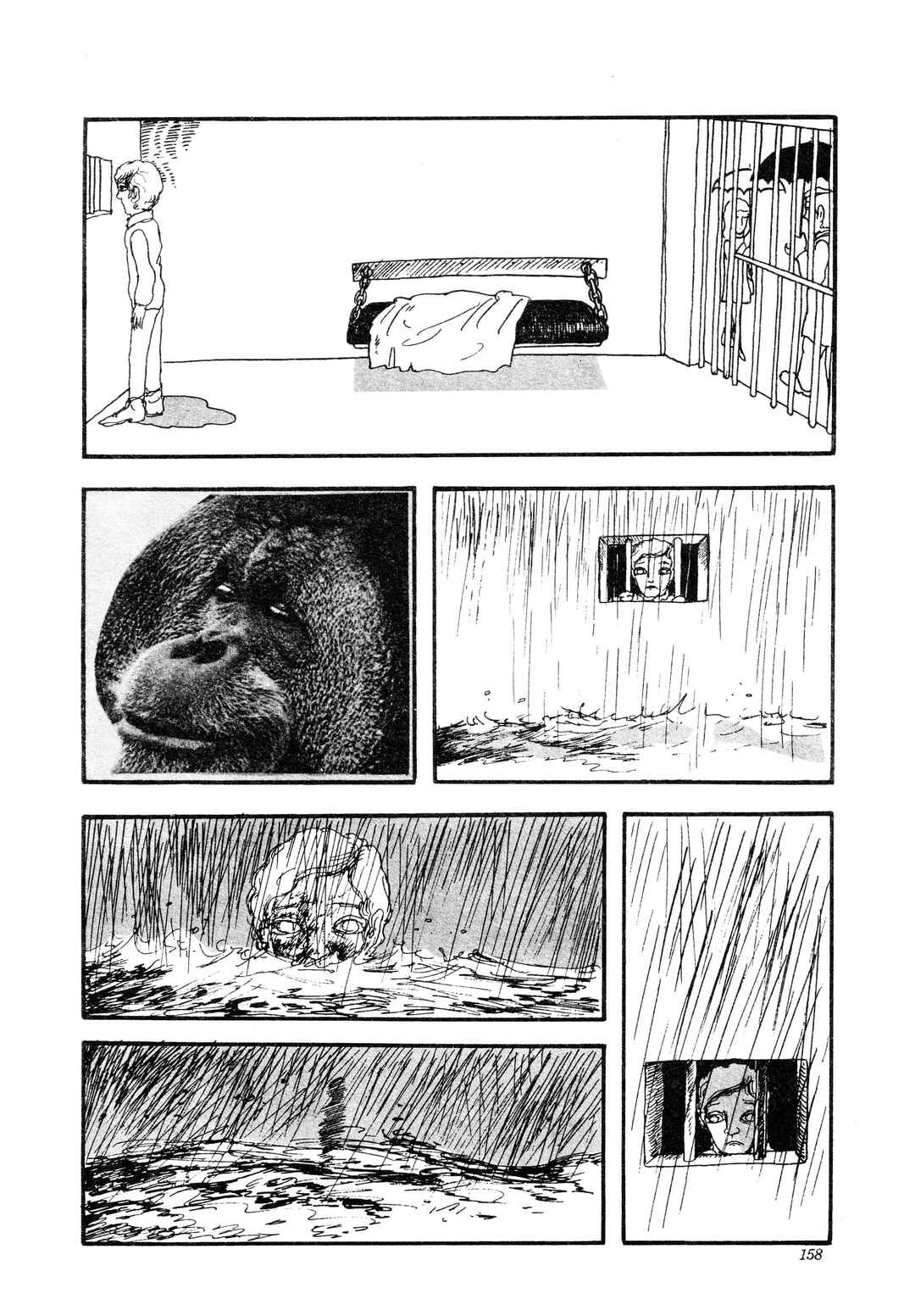 Page 12 Chapter Unknown_3c91 A Bird