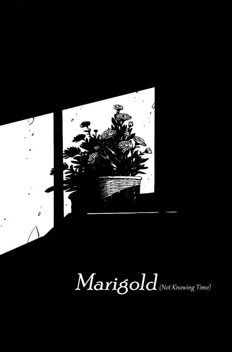Page 1 Chapter 3 Lamplight