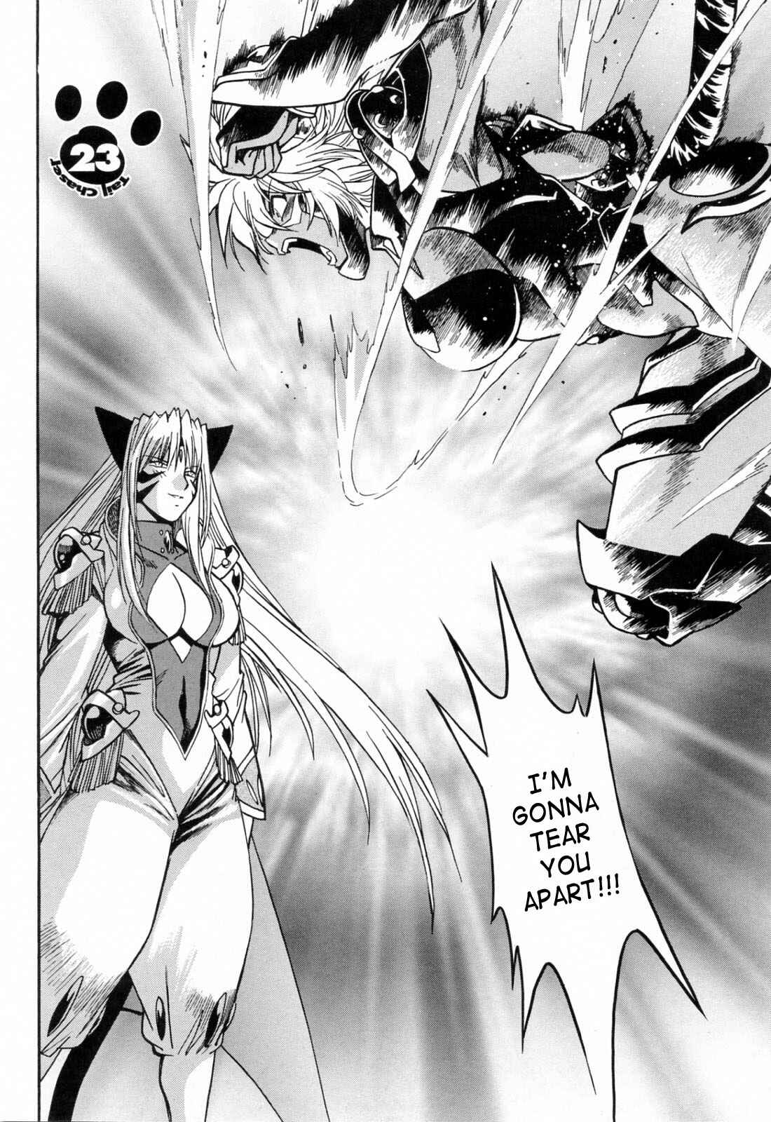 Page 2 Chapter 23 Tail Chaser