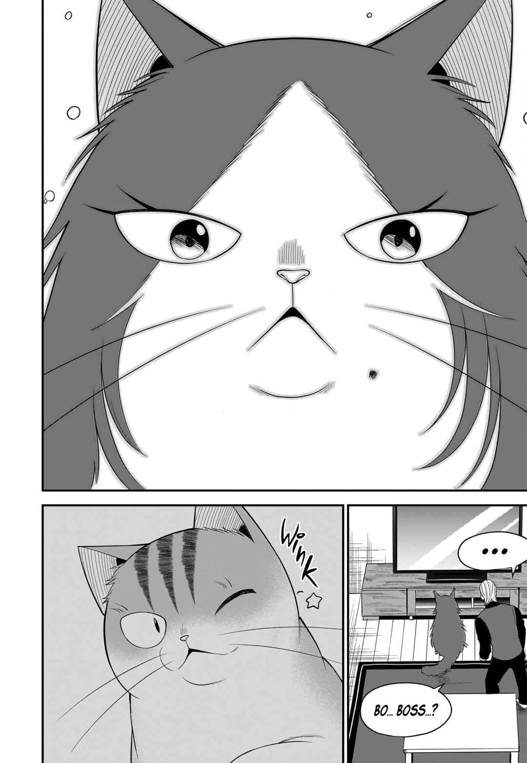 Page 13 Chapter 30 Neko ga Gotoku