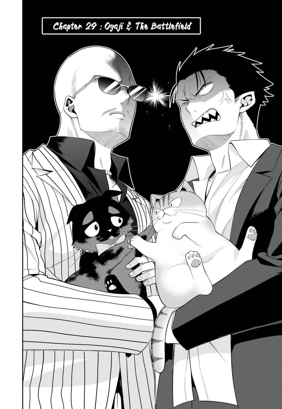Page 3 Chapter 29 Neko ga Gotoku