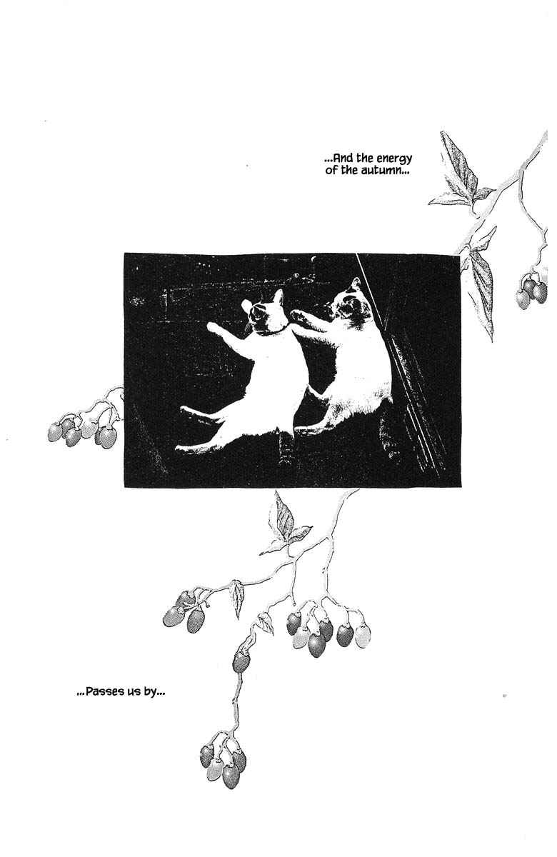 Page 31 Chapter 83.1 The Worlds Most Tender Music