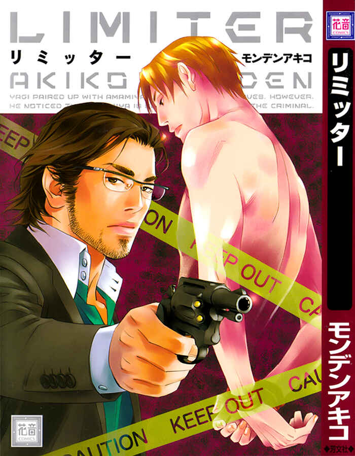 Page 2 Chapter 2 Limiter