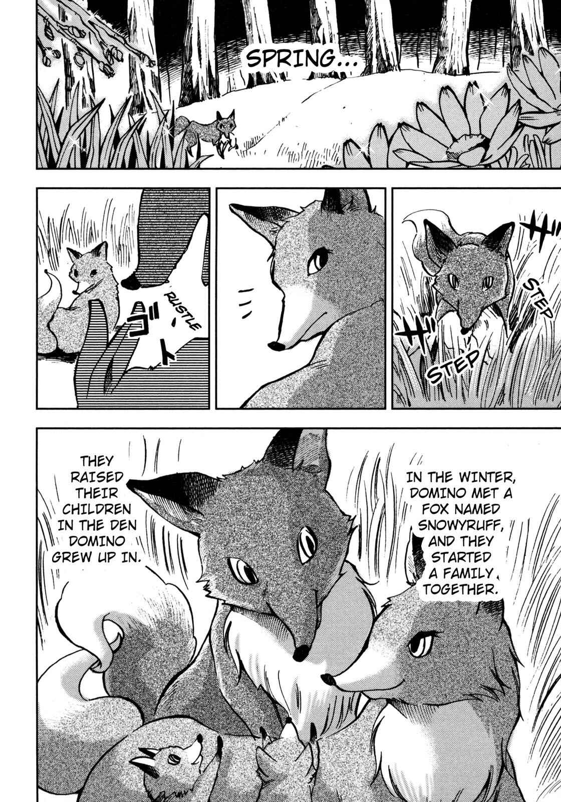 Page 19 Chapter 3 Setons Wild Animals (Variety Art Works)