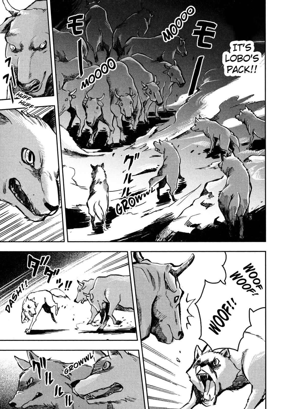 Page 10 Chapter 4 Setons Wild Animals (Variety Art Works)