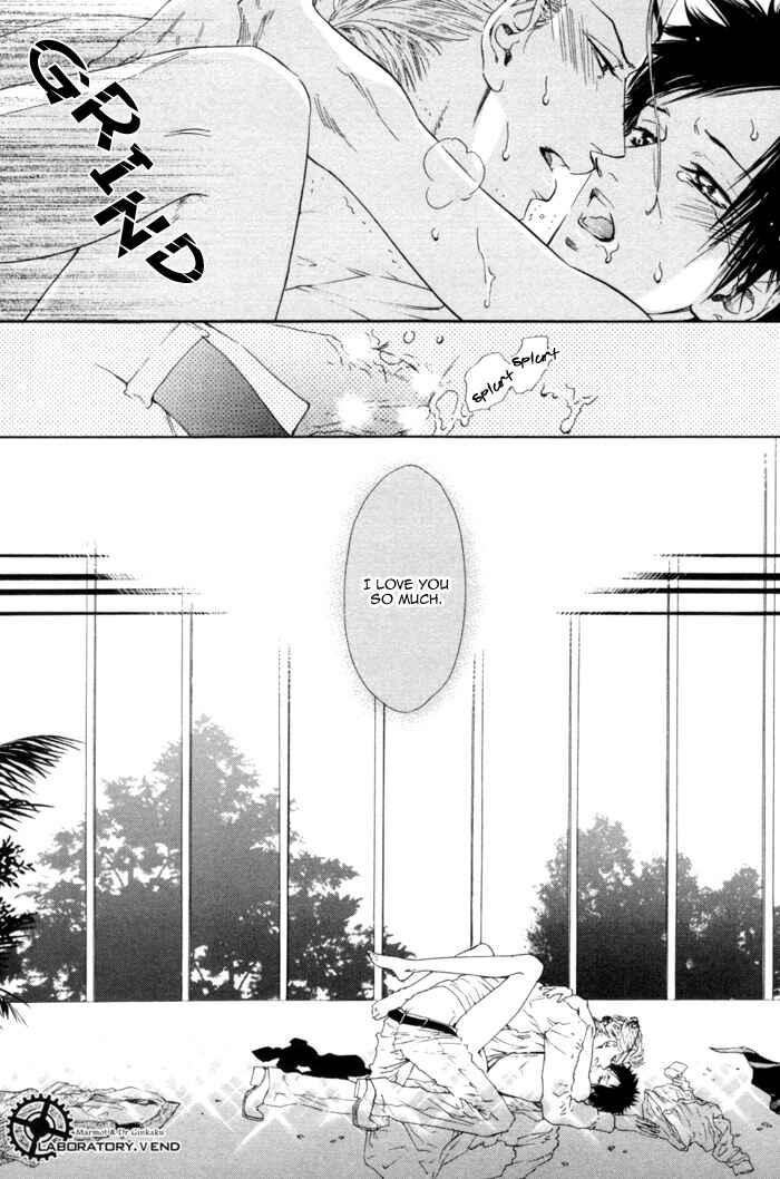 Page 35 Chapter 5 Ginkaku Hakushi to Marmot