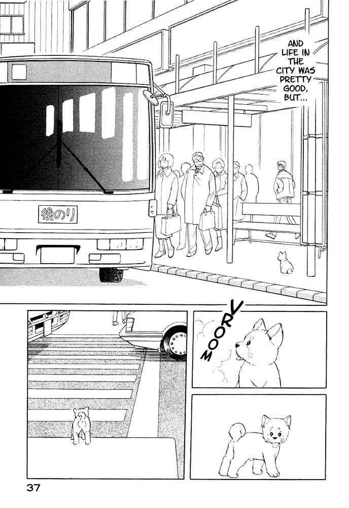 Page 8 Chapter 3 ShibaO