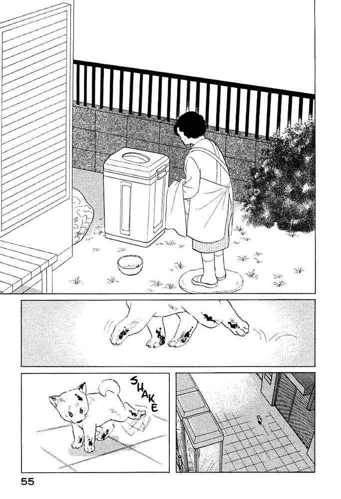 Page 12 Chapter 4 ShibaO
