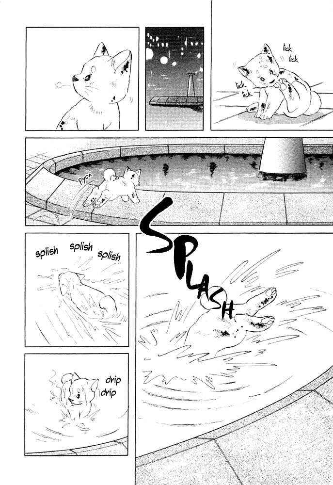 Page 13 Chapter 4 ShibaO