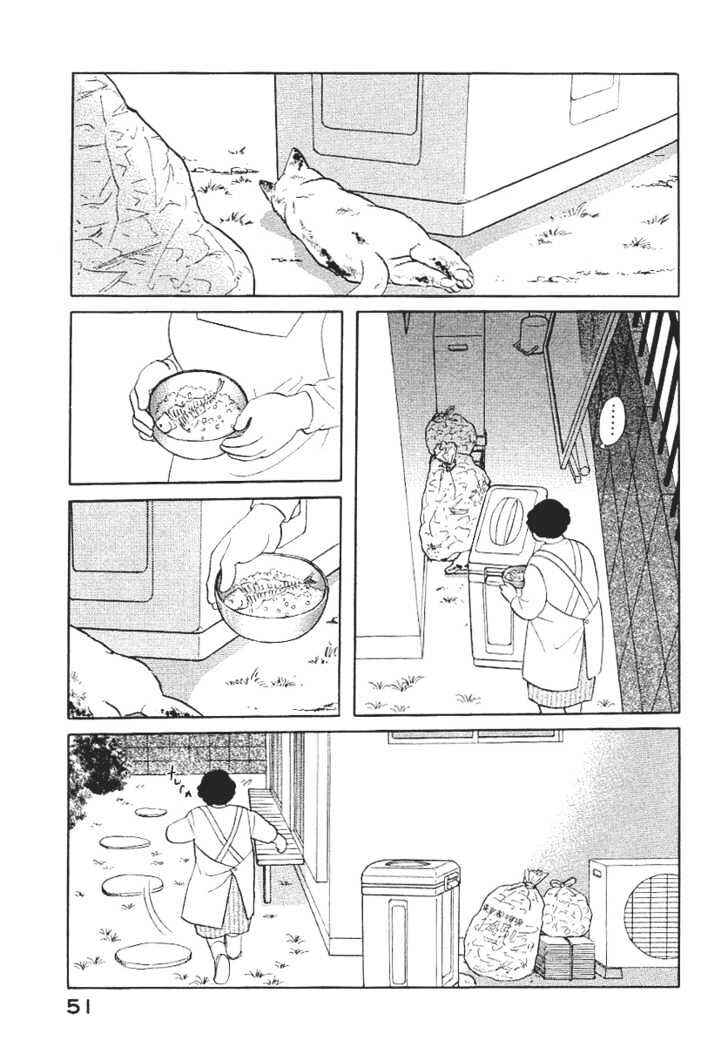 Page 8 Chapter 4 ShibaO