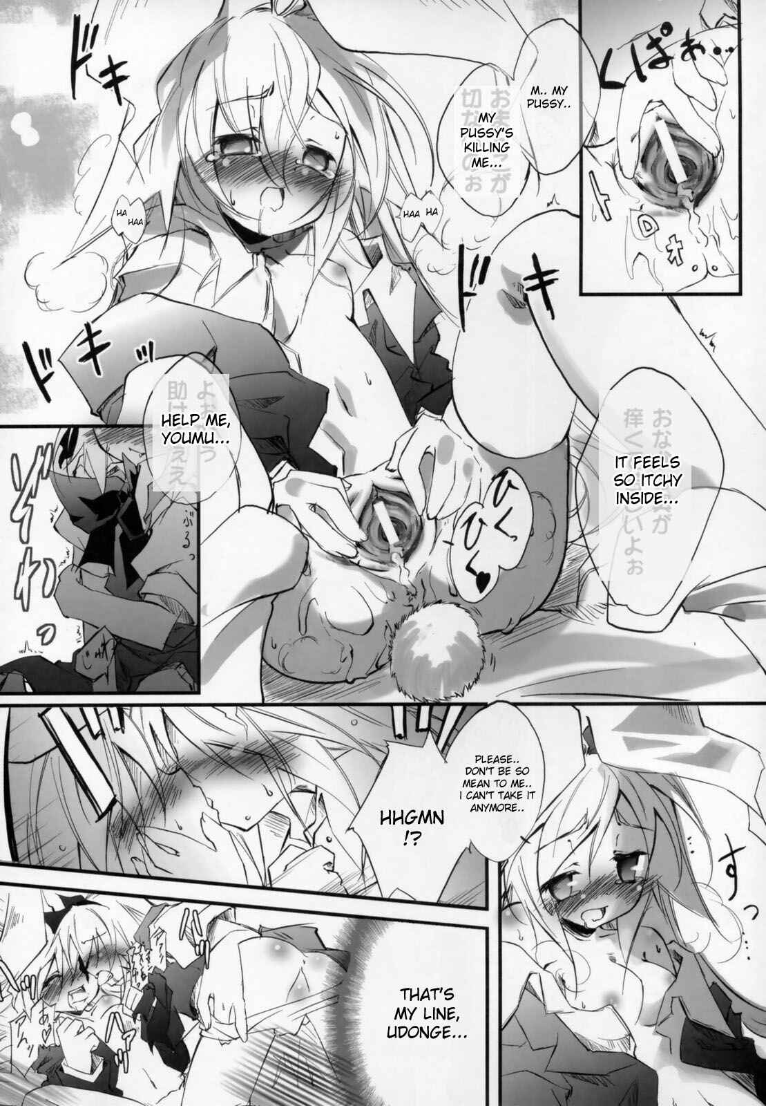 Page 13 Chapter Unknown_7223 Touhou - Udonge no Kusuri B Zazai (Doujinshi)