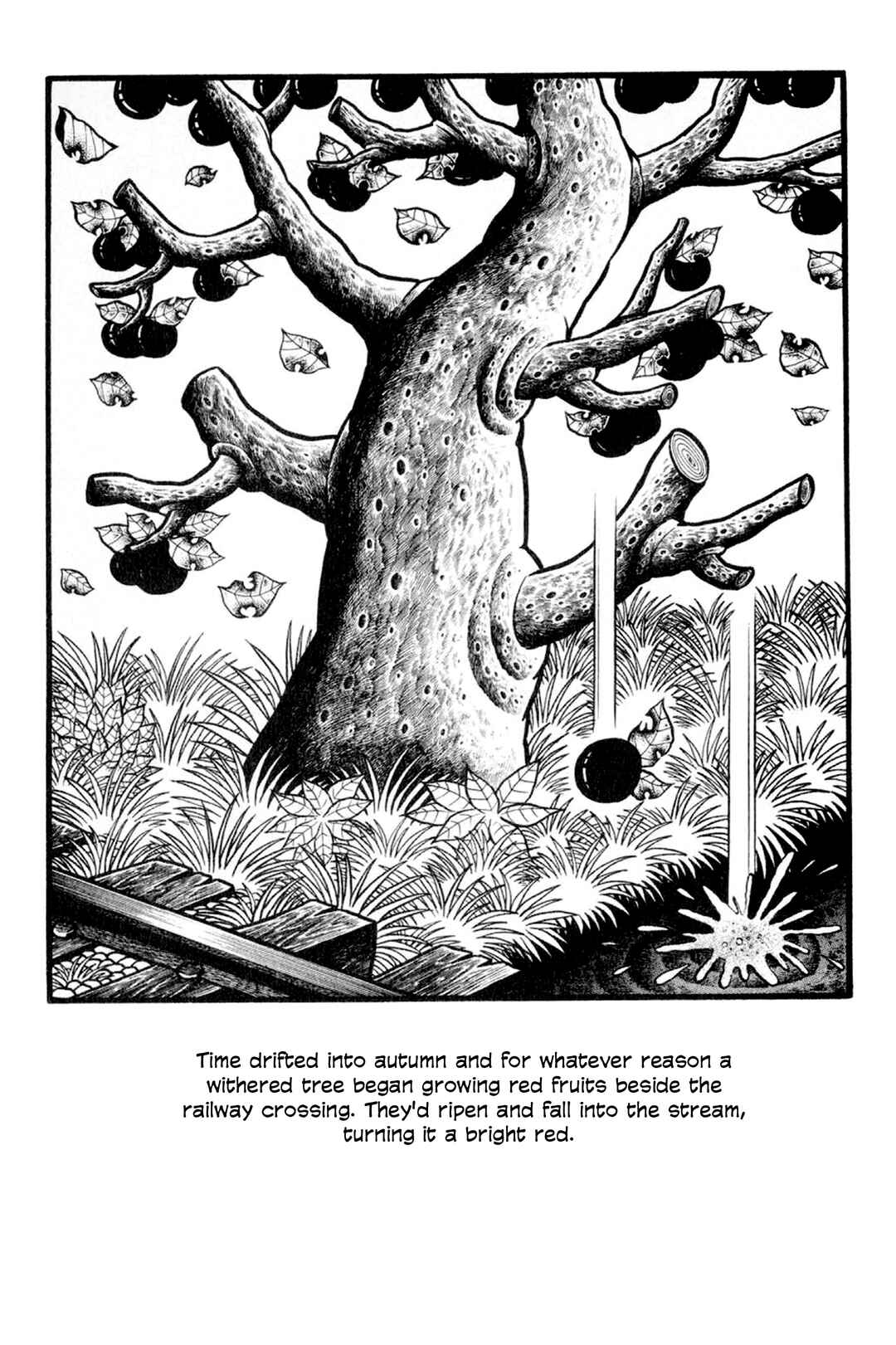 Page 15 Chapter Unknown_624f Red Fruit at the Railway Crossing