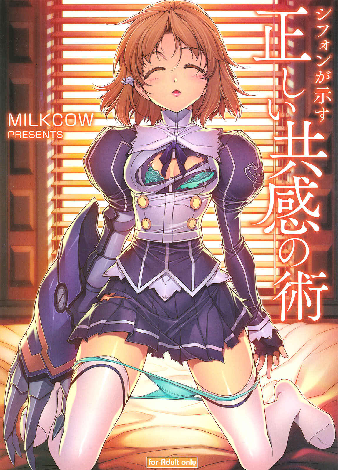 Page 1 Chapter Unknown_4d93 Freezing - Chiffon ga Shimesu Tadashii Kyoukan no Jutsu  (Doujinshi)