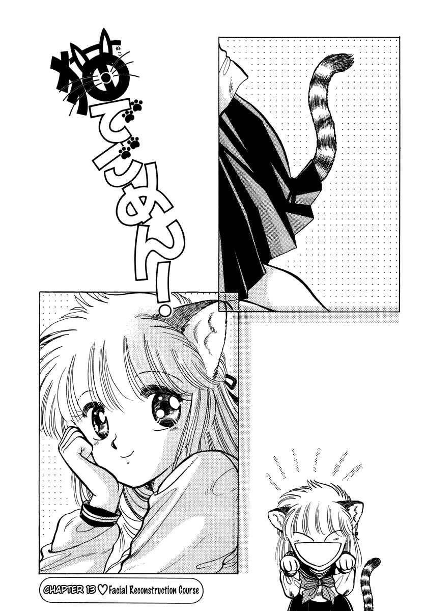 Page 1 Chapter 13 Sorry, Im a Cat!