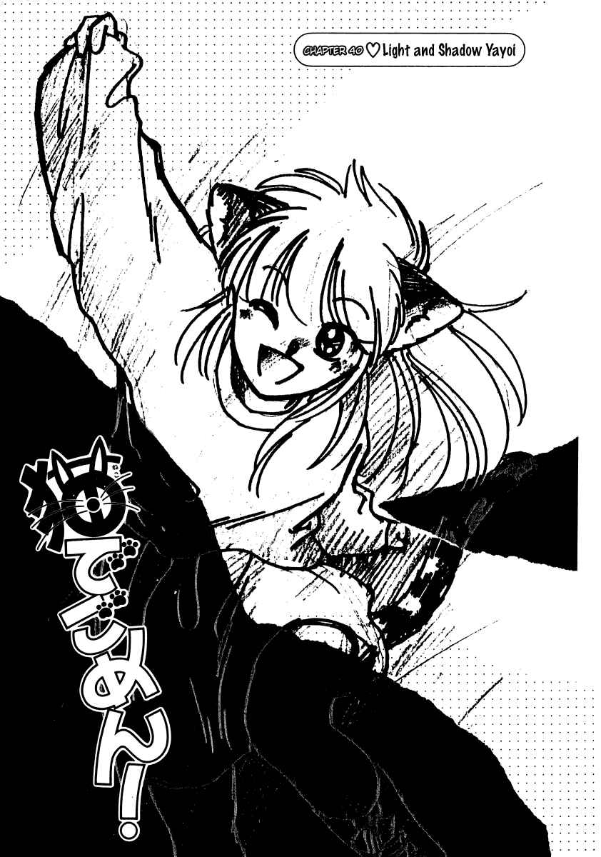 Page 2 Chapter 40 Sorry, Im a Cat!