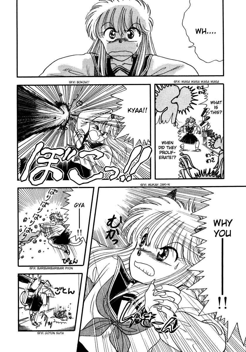 Page 41 Chapter 1 Sorry, Im a Cat!