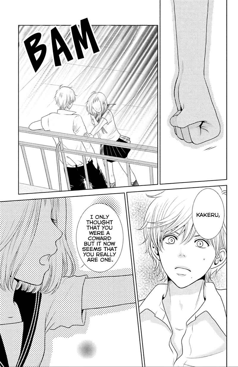 Page 19 Chapter 12 Bambi to Dhole