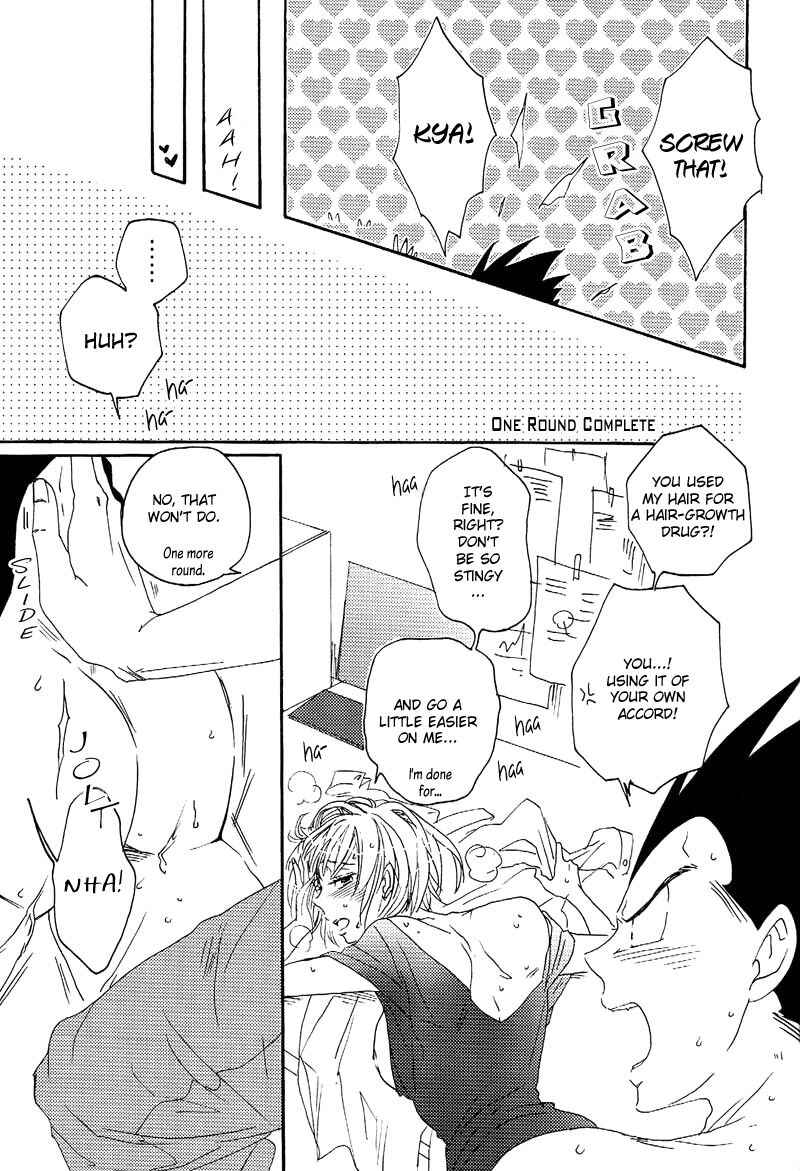 Page 14 Chapter Unknown_6db0 Dragon Ball Z - Tail Book (Doujinshi)