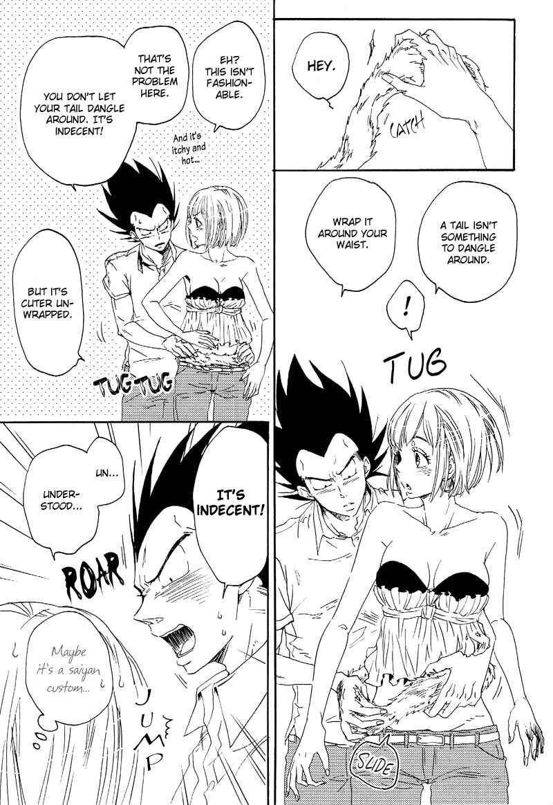 Page 22 Chapter Unknown_6db0 Dragon Ball Z - Tail Book (Doujinshi)