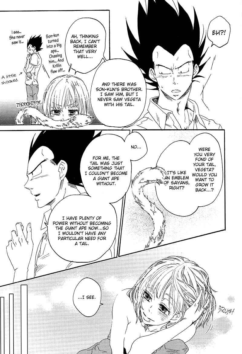 Page 24 Chapter Unknown_6db0 Dragon Ball Z - Tail Book (Doujinshi)